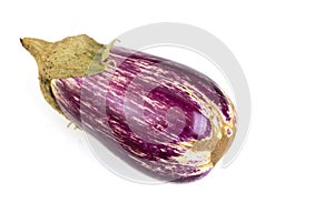 Eggplant Nubia Purple and White photo