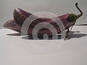 Eggplant pink striped