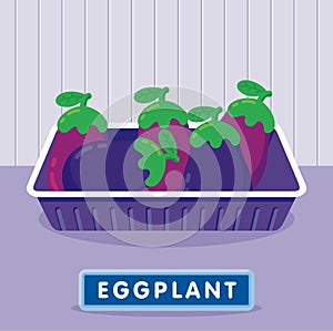 Eggplant on the plastic food packaging tray wrapped with polyethylene. Vector illustration