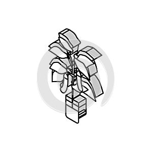 eggplant in pots isometric icon vector illustration