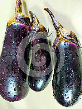 eggplant that is ready to be processed into cooking photo