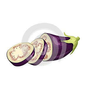 eggplant slice cartoon vector illustration photo