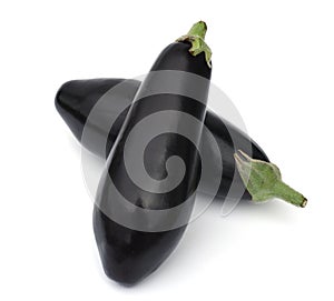 Eggplant, Solanum, melongena