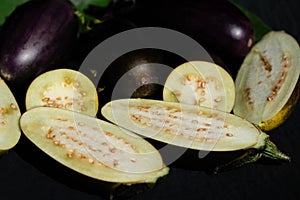 eggplant Solanum melongena