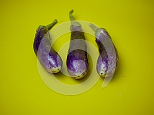 Eggplant or Solanum melongena isolated