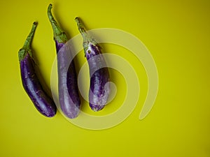 Eggplant or Solanum melongena isolated on a yellow background