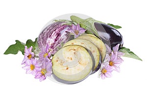 Eggplant /Solanum melongena /whole and cut, with leaves and flowers isolated on white