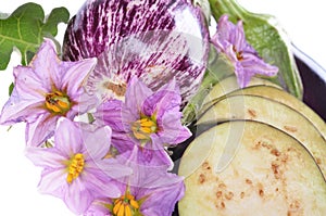 Eggplant /Solanum melongena /whole and cut, with leaves and flowers isolated on white