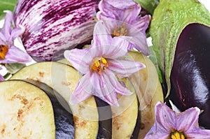 Eggplant /Solanum melongena /whole and cut, with leaves and flowers isolated on white