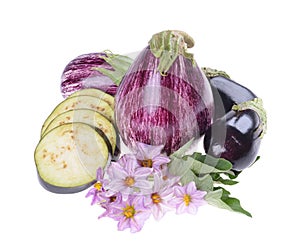 Eggplant /Solanum melongena /whole and cut, with leaves and flowers isolated on white