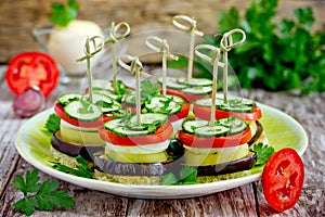 Eggplant, tomato, pepper, cucumber slices kebabs