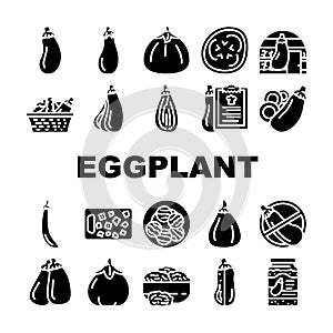 eggplant vegetable aubergine food icons set vector