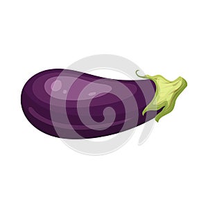 eggplant vegetable cartoon vector illustration