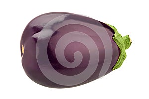 Eggplant vegetable closeup isolated on white