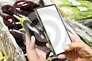 Eggplant vegetable in hand and smartphone