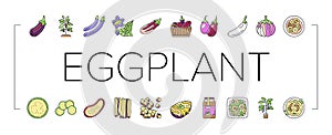 Eggplant Vitamin Bio Vegetable Icons Set Vector