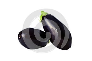 Eggplant on white background