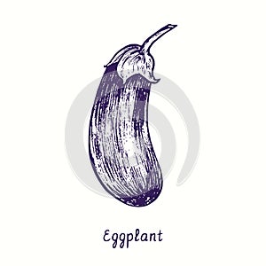 Eggplant whole. Ink black and white doodle drawing