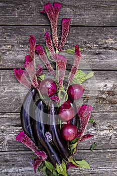 Eggplant and zucchini still life on a wooden table