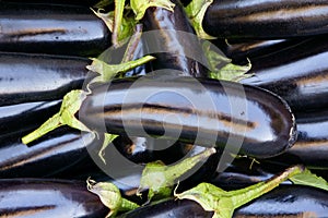 Eggplants