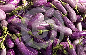 Eggplants