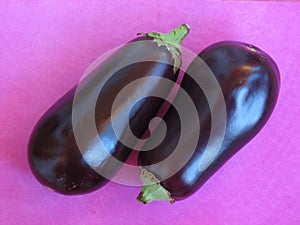 Eggplants photo