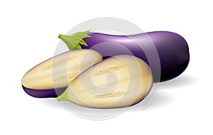 Eggplants aubergine vegetable realistic