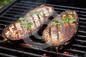 eggplants with charring marks on a grill, white smoke around