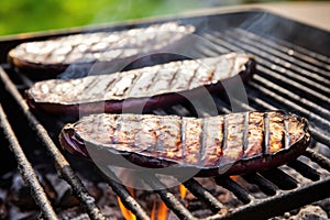 eggplants with charring marks on a grill, white smoke around