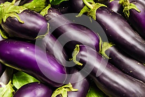 eggplants, fresh farm produce, vegetable used as a food ingredient