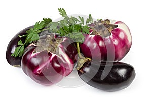 Eggplants Helios and purple conventional eggplants with parsley photo