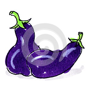 Eggplants isolated freehand drawing on white background