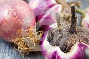 Eggplants and onion grown in organic farming