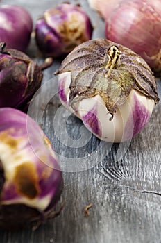 Eggplants and onion grown in organic farming