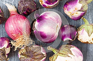 Eggplants and onion grown in organic farming