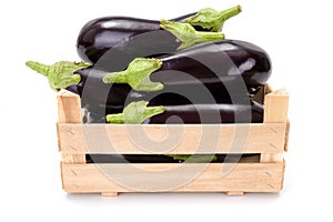 Eggplants (Solanum melongena) in wooden crate