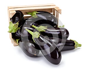 Eggplants (Solanum melongena) in wooden crate