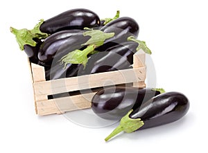 Eggplants (Solanum melongena) in wooden crate