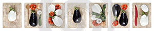 eggplants, tomatoes, zucchini, onions and garlic on wooden cutting board isolated on white banner parmigiana concept