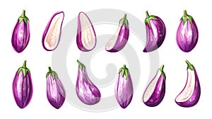 Eggplants on transparent background