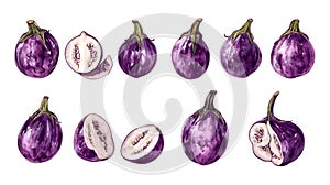 Eggplants on transparent background