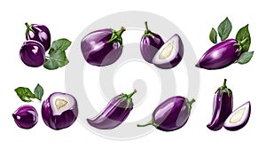 Eggplants on transparent background