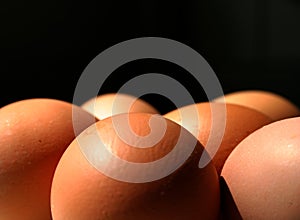 Eggs