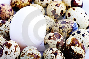 Eggs