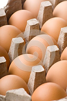 Eggs