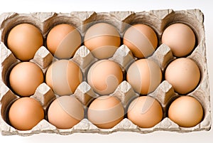 Eggs