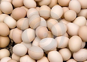 Huevos 