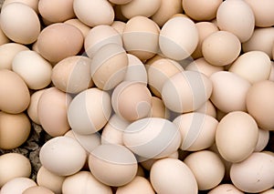 Eggs