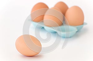 Eggs