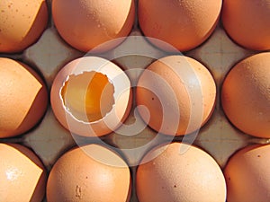 Eggs